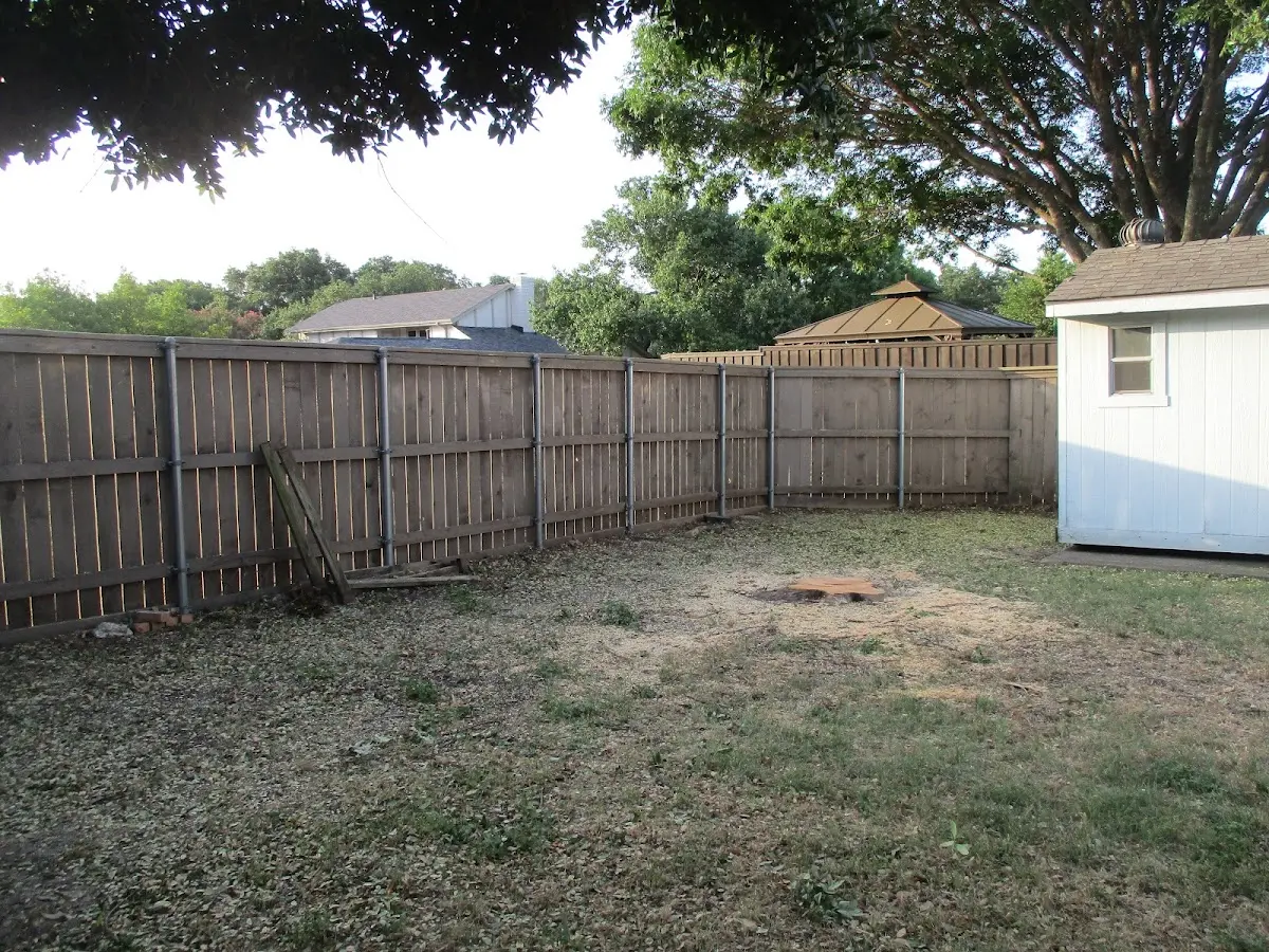 Cleared yard after professional tree removal in West Newton