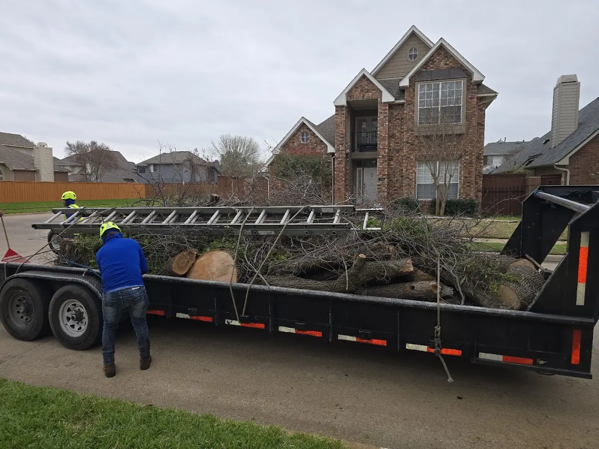 Expert Tree Removal with proper safety equipment in West Newton
